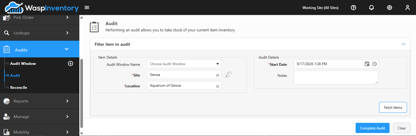 Filtering items to audit