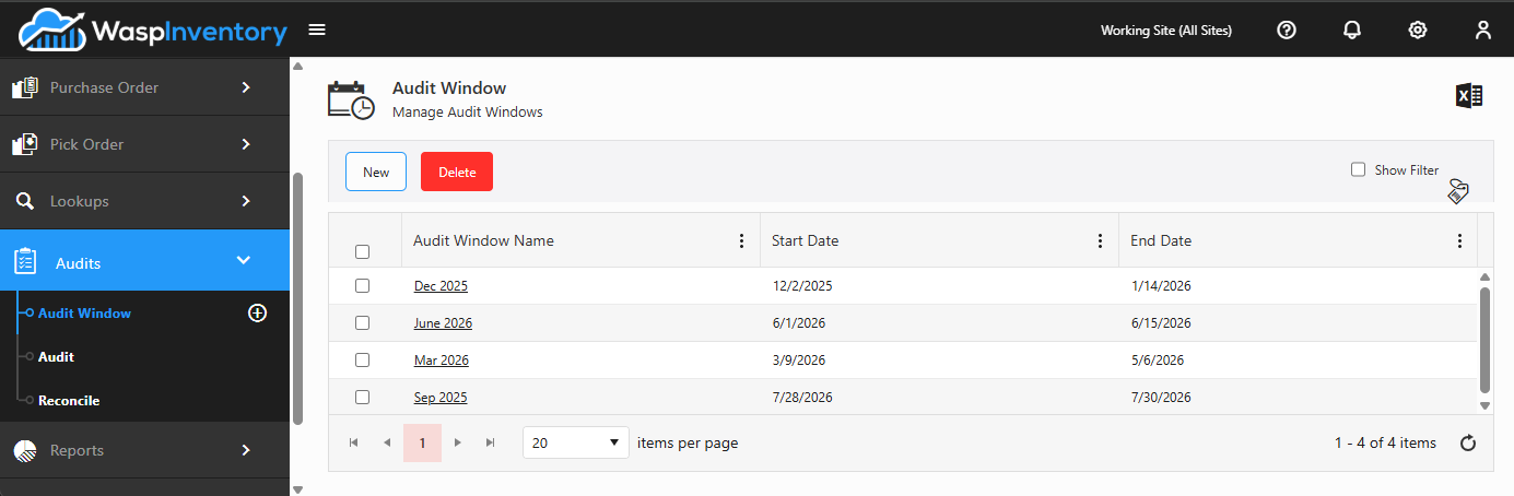 Managing audit windows